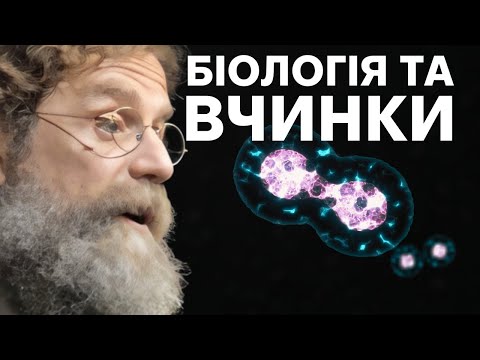 Видео: 25. Індивідуальність та особливості. Курс "Біологія поведінки людини"