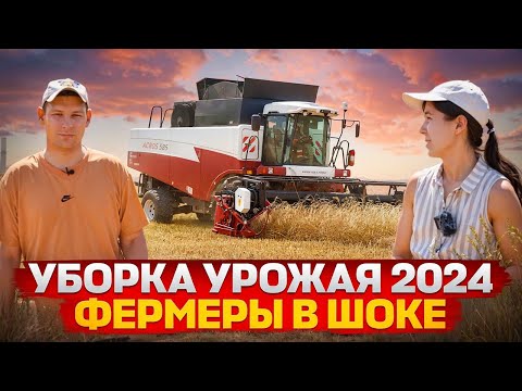 Видео: 🔴 УБОРКА УРОЖАЯ 2024 НАЧАЛО / Что с урожаем в этом году?