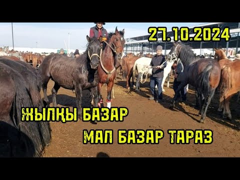 Видео: 27.10.2024 Жылқы базар / Тараз мал базар / Horses market ✅