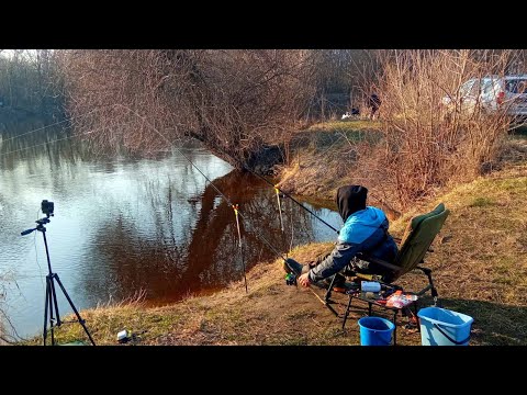 Видео: ТАКОГО Я НЕ ОЧІКУВАВ ОЦЕ ТАК ВЕЛЕТНІ. Рибалка на фідер 2024