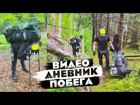 Видео: #264 Решил записать на видео каждый момент. На той стороне нас встретили 6 волкодавов.