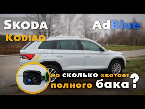 Видео: Skoda Kodiaq - на сколько хватает полного бака AdBlue