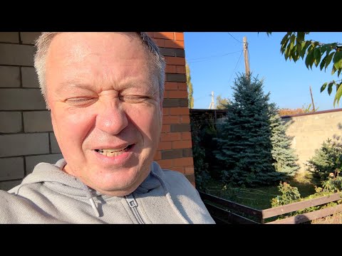 Видео: у НАС райское место уже и ФАЗАНЫ поселились за забором // кто то работает а КТО ТО лежит на ПЕЧИ
