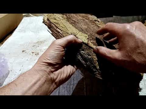 Видео: Результат ферментации Табака в бане.