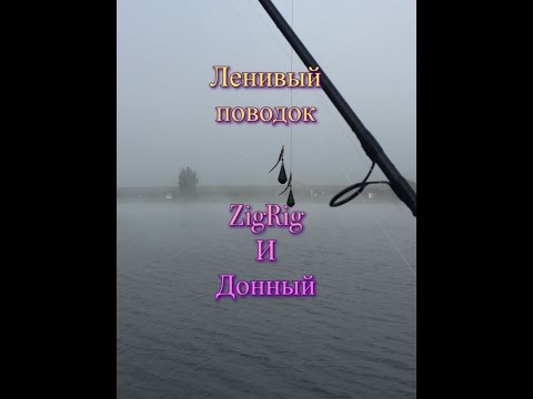 Видео: Ленивый   подводок для ЗигРиг/ZigRig и донный. А также бла бла бла.