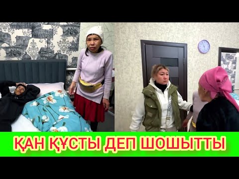 Видео: ҚАН ҚҰСТЫ ДЕП ШОШЫТТЫ