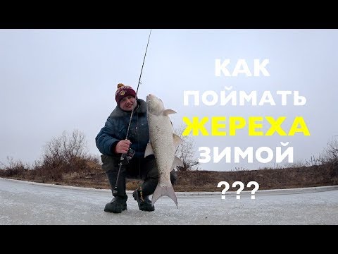 Видео: Как поймать ЖЕРЕХА зимой. Зимний ЖЕРЕХ настоящий боец !!Ares Lester Boron 800ML