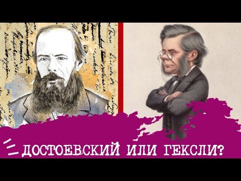 Видео: Достоевский (ЭИИ) или Гексли (ИЭЭ)⚖️