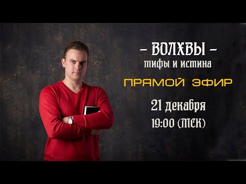 Видео: Волхвы. Мифы и истина. (Запись эфира)📣