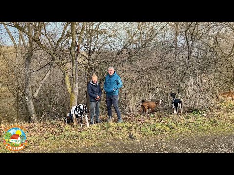 Видео: #480 Как живут москвичи на пoлyзaбpoшeнном хуторе.
