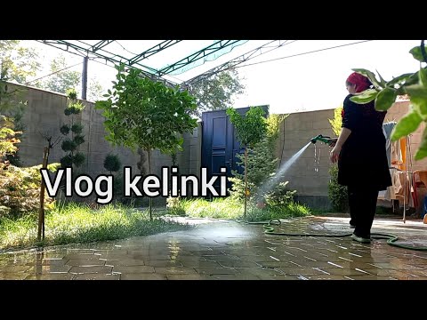 Видео: Уборка во дворе 🌿 Мощная мотивация на уборку✨️Мои мысли, негатив в мой адрес🥲 Kelin hayoti ✨️