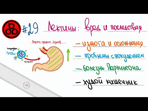 Видео: Плато при похудении, изжога, аллергия? Возможно, это лектины!