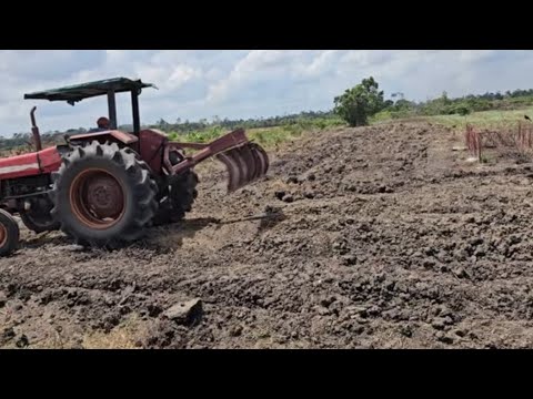 Видео: Обновленная информация о развитии могильника Якасари