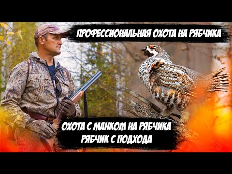Видео: СЕКРЕТЫ УСПЕШНОЙ ОХОТЫ НА РЯБЧИКА / ТАЕЖНЫЕ ИСТОРИИ