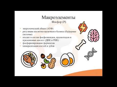 Видео: 35.3. Макро- и микроэлементы