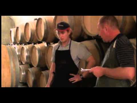 Видео: Виноделие  часть  4