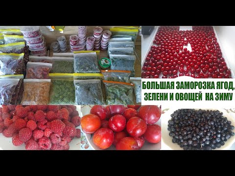 Видео: Большая заморозка ягод, зелени и овощей на зиму. Что я уже заготовила.