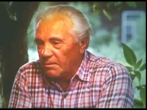 Видео: ЖИЗНЬ НА МИРУ