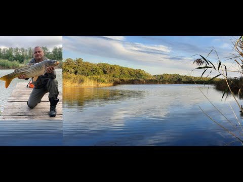 Видео: РЫБАЛКА НА КУЛЬТУРНОМ ВОДОЕМЕ...