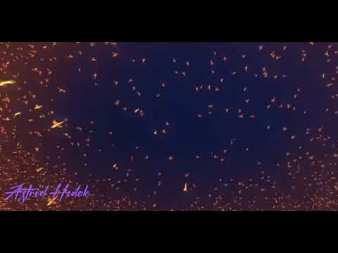 Видео: клип про Астрид и Иккинга "Самба белого мотылька"