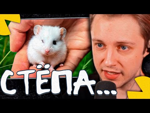 Видео: СТИНТ СМОТРИТ - У ДЕТЕНЫША СТЕПЫ ИСЧЕЗ ГЛАЗИК (SlivkiShow)