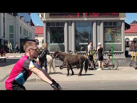 Видео: 2 июня 2024  новости спорта  уфа день 1000 велосипедистов центр города ул ленина гостиный двор.