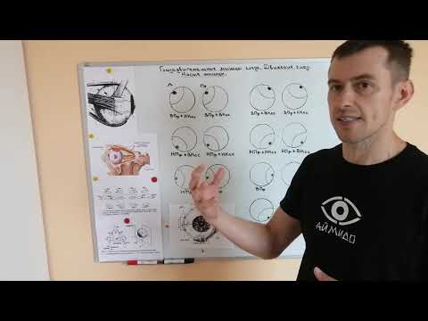 Видео: Глазодвигательные мышцы. Движение глаз. Косые мышцы