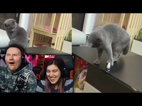 Видео: За секунду до крика #3 | | РЕАКЦИЯ на Студия озвучки "ShtigliShti"