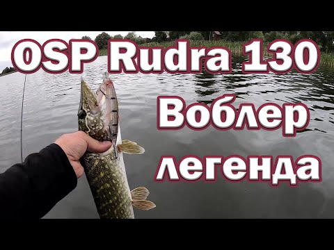 Видео: OSP Rudra 130 SP  Воблер Легенда!!! Лучший воблер для твичинга на щуку и окуня. Зачем Покупать ?