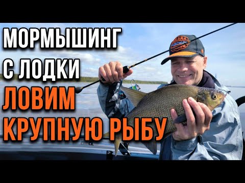 Видео: Мормышинг с лодки, ловим крупную рыбу.
