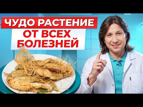 Видео: Эти ТРАВЫ заменят вам ВСЕ лекарства! Как УКРЕПИТЬ здоровье с помощью ТРАВ?