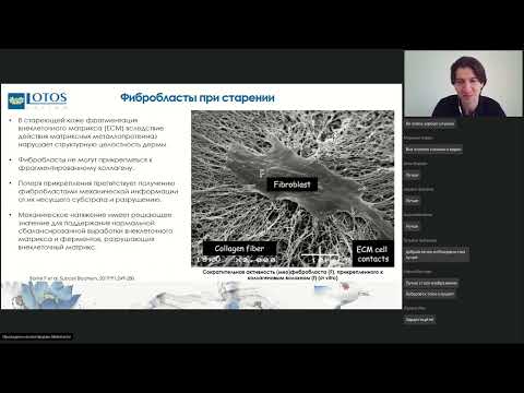 Видео: Вебинар PLLA 28 Мураков С. В.  25.04.23