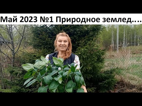 Видео: Май 2023. №1. Природное земледелие.