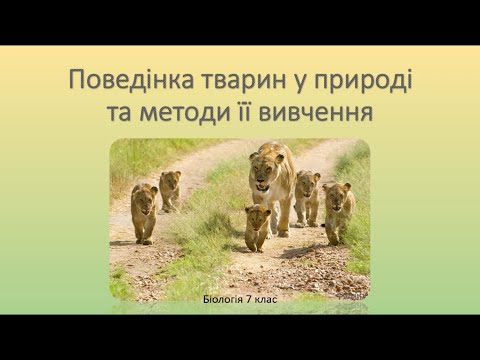 Видео: Біологія. Тварини. Поведінка тварин у природі та методи її вивчення