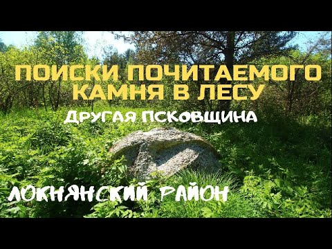 Видео: ✅В ПОИСКАХ СВЯЩЕННОГО КАМНЯ У ЗАБРОШЕННОЙ ДЕРЕВНИ ПСКОВСКОЙ ОБЛАСТИ.