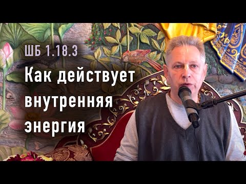Видео: 2024-06-01 - ШБ 1.18.3 - Как действует внутренняя энергия