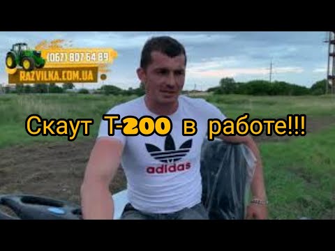 Видео: Мототрактор Скаут Т-200 в РАБОТЕ !!! Вспашка огорода фрезой