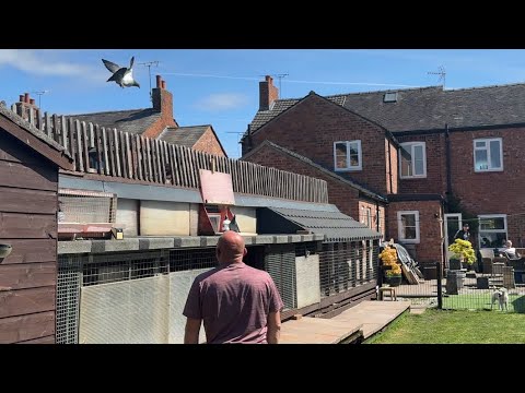 Видео: ГОНКА В ЧЕЛТЕНХЭМЕ 2 — СПЕЦИАЛЬНЫЕ ГОСТИ И ХОРОШАЯ ГОНКА🔥