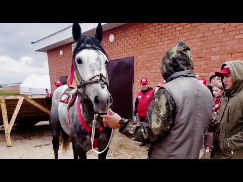 Видео: Көчмөндөр оюндары. Аттар менен оюнчулар Ипадромдун жанына көчүп келишти.