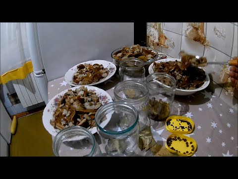 Видео: Рецепты из автоклава. Маринованный опёнок (Будни охотника и рыбака)