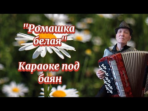 Видео: "Ромашка белая" Караоке под баян...