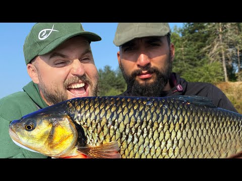 Видео: ЗАКАЧИХМЕ ОГРОМЕН КЕФАЛ! ЩУКА изяде кокошка! Риболов на костур