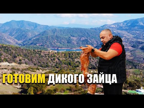 Видео: Готовим  дикого зайца 3 мя разными способами