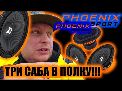 Видео: Новинки Phoenix Sport 300x2 + Phoenix Black Bass 69 в полку #автозвук