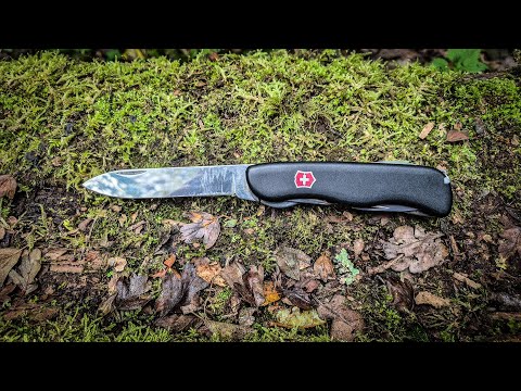Видео: Почему Victorinox Forester — мой любимый швейцарский армейский нож для путешествий и приключений