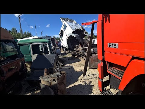 Видео: От заката до рассвета! Разборка века!)