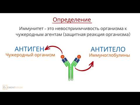 Видео: Иммунитет. Виды иммунитета