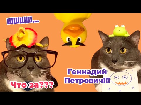 Видео: ЕСЛИ БЫ КОТИКИ ХОДИЛИ В ШКОЛУ - ВСТРЕЧА В БУФЕТЕ, НОВЕНЬКАЯ, И УРОК НЕМЕЦКОГО