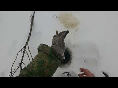 Видео: Шикарный улов \ Берём небольшой перерыв 