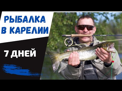 Видео: Рыбалка в Карелии
